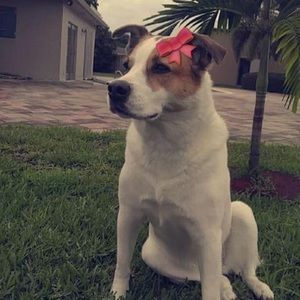 Meet your Posher, Karen